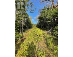 Road 0 Beechmont Road, Gillis Lake, NS B2A4J6 Photo 20
