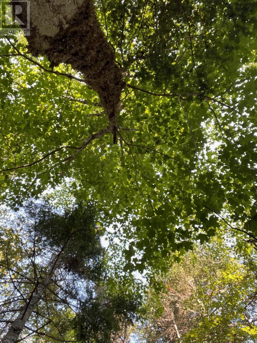 Property 20 of 20 of Road 0 Beechmont Road