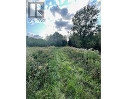 Road 0 Beechmont Road, Gillis Lake, NS B2A4J6 Photo 7