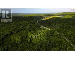 Road 0 Beechmont Road, Gillis Lake, NS B2A4J6 Photo 10