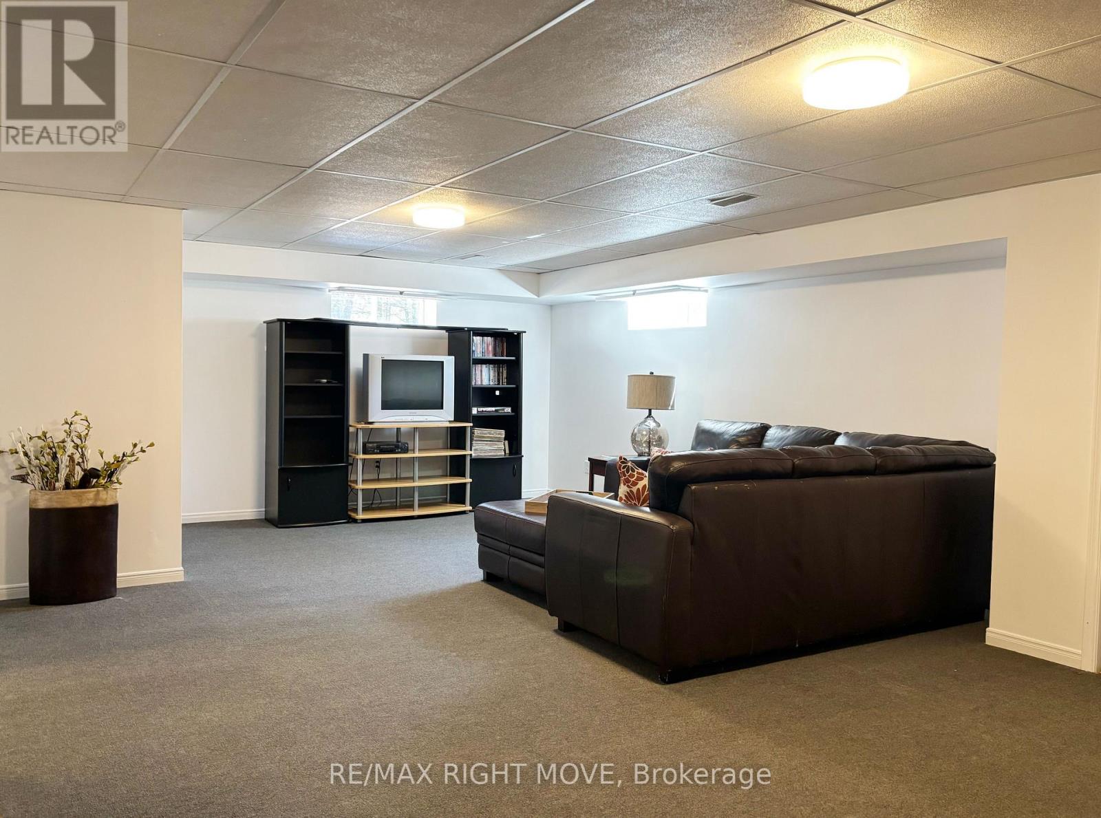 Rec room lower level