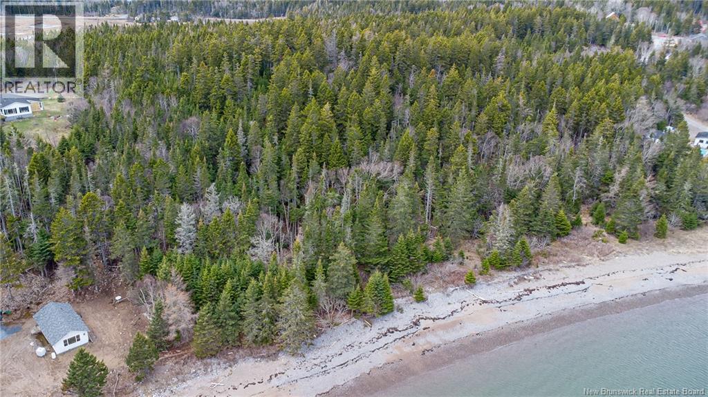 Chance Harbour Road, Chance Harbour — photo 3