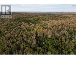 31.45 Acre Marble Mountain Road, Lime Hill, NS B0E3K0 Photo 11