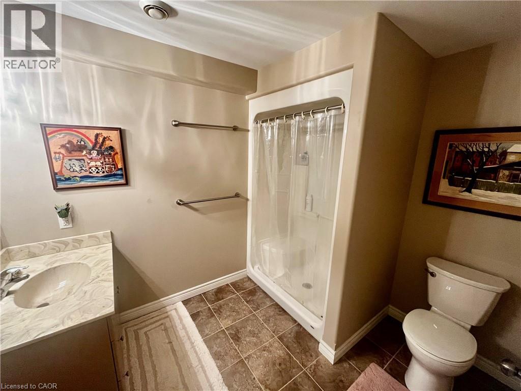 lower level bathroom