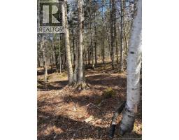 00-1 Reardon Road, Elmsville, NB E5A0B6 Photo 10