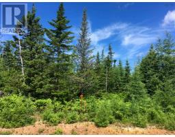 Lot 2 Lake Side Drive, Macintyre Lake, NS B9A1Y3 Photo 7