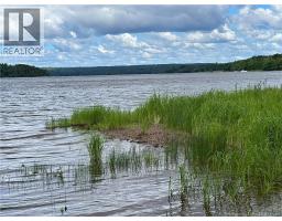 Vacant Lot Lakeview Road, Washademoak, NB E4C2L6 Photo 12