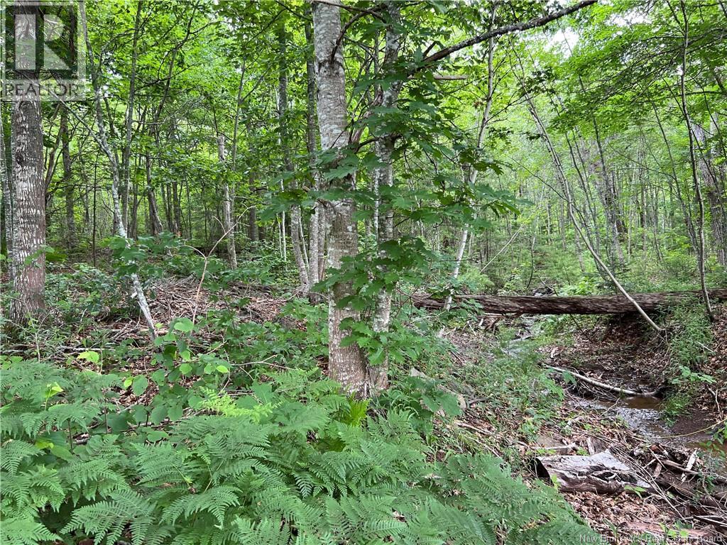 Vacant lot Lakeview Road — photo 9