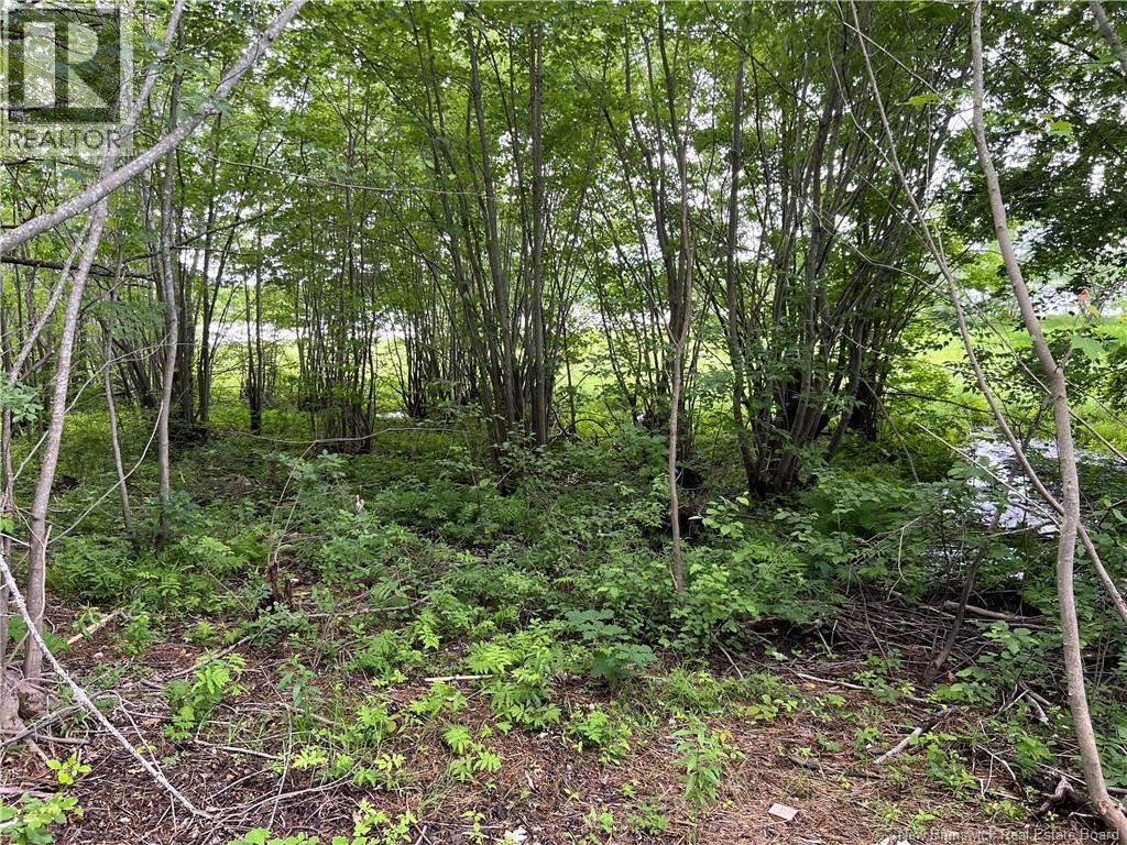 Vacant lot Lakeview Road — photo 14