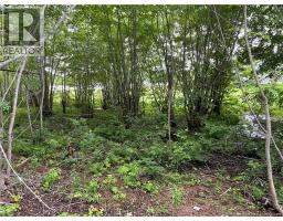 Vacant Lot Lakeview Road, Washademoak, NB E4C2L6 Photo 14