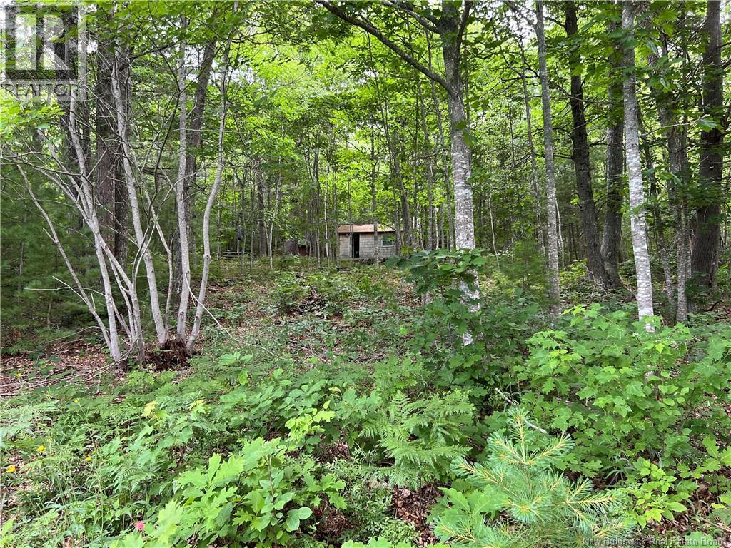 Vacant lot Lakeview Road — photo 3