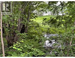 Vacant Lot Lakeview Road, Washademoak, NB E4C2L6 Photo 7