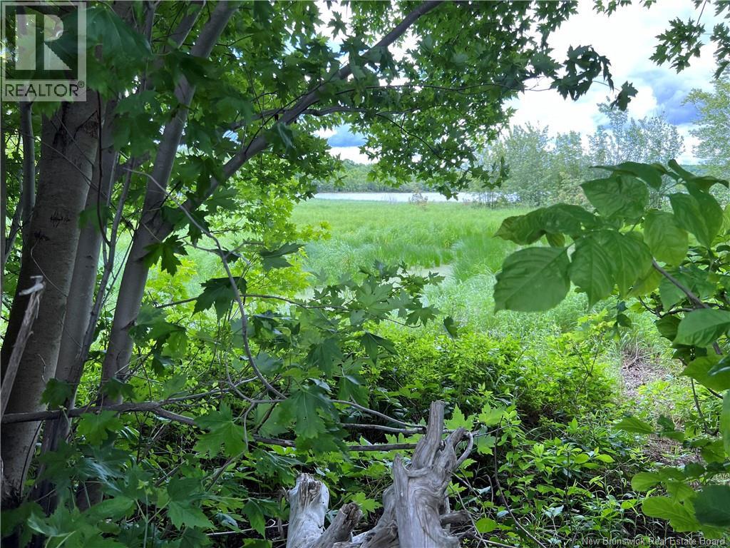 Vacant lot Lakeview Road — photo 33