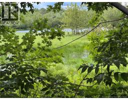 Vacant Lot Lakeview Road, Washademoak, NB E4C2L6 Photo 17