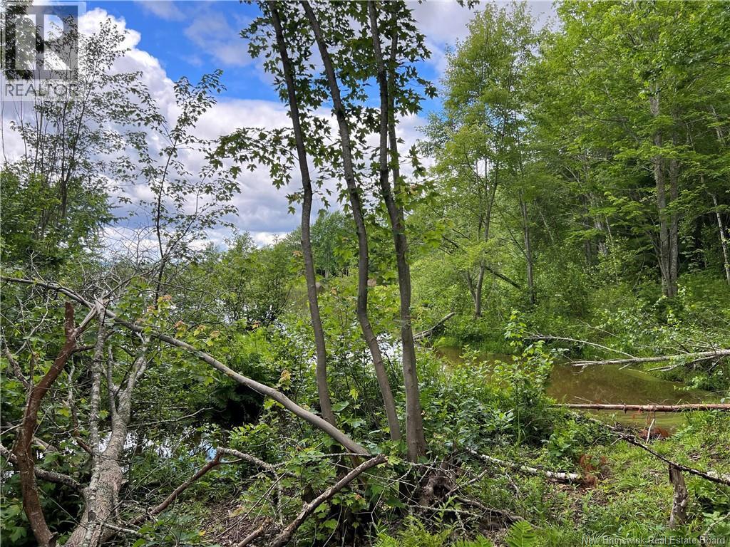 Vacant lot Lakeview Road — photo 32
