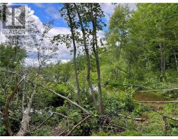 Vacant Lot Lakeview Road, Washademoak, NB E4C2L6 Photo 32