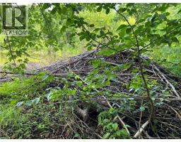Vacant Lot Lakeview Road, Washademoak, NB E4C2L6 Photo 18