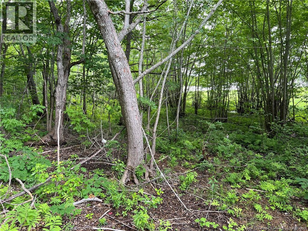 Vacant lot Lakeview Road — photo 16