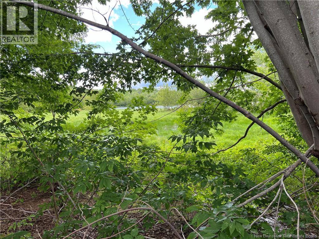 Vacant lot Lakeview Road — photo 28