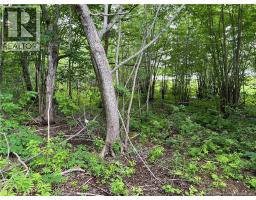 Vacant Lot Lakeview Road, Washademoak, NB E4C2L6 Photo 16