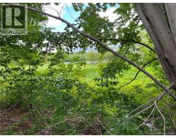 Vacant Lot Lakeview Road, Washademoak, NB E4C2L6 Photo 28