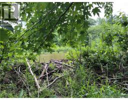 Vacant Lot Lakeview Road, Washademoak, NB E4C2L6 Photo 30