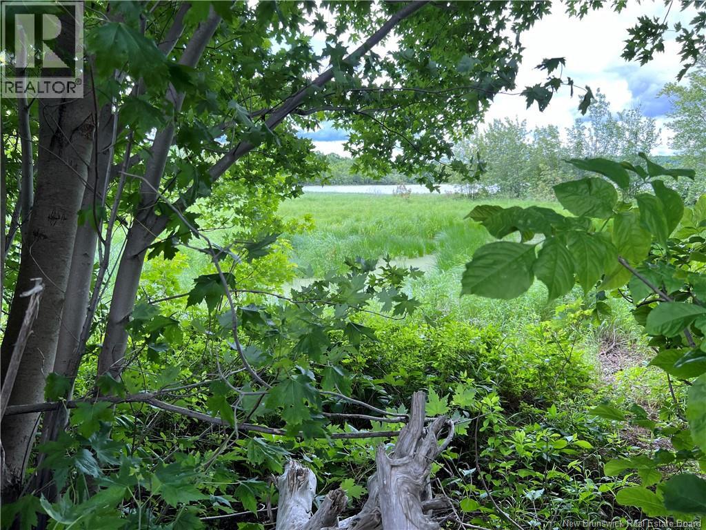 Vacant lot Lakeview Road — photo 21