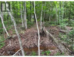 Vacant Lot Lakeview Road, Washademoak, NB E4C2L6 Photo 25