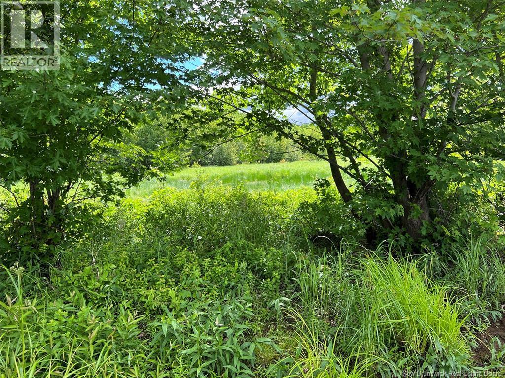 Vacant lot Lakeview Road — photo 27