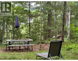 Vacant Lot Lakeview Road, Washademoak, NB E4C2L6 Photo 15