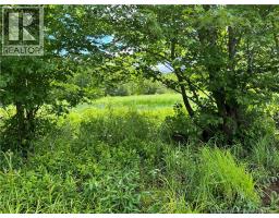 Vacant Lot Lakeview Road, Washademoak, NB E4C2L6 Photo 27