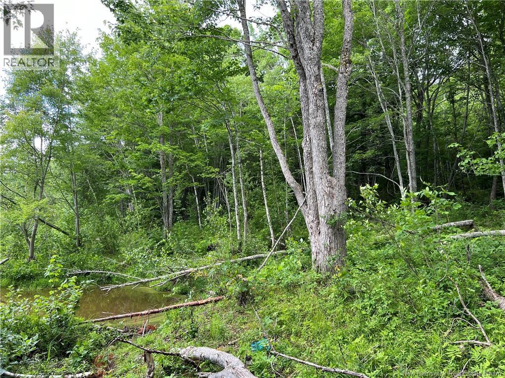 Vacant lot Lakeview Road — photo 31