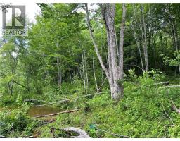 Vacant Lot Lakeview Road, Washademoak, NB E4C2L6 Photo 31