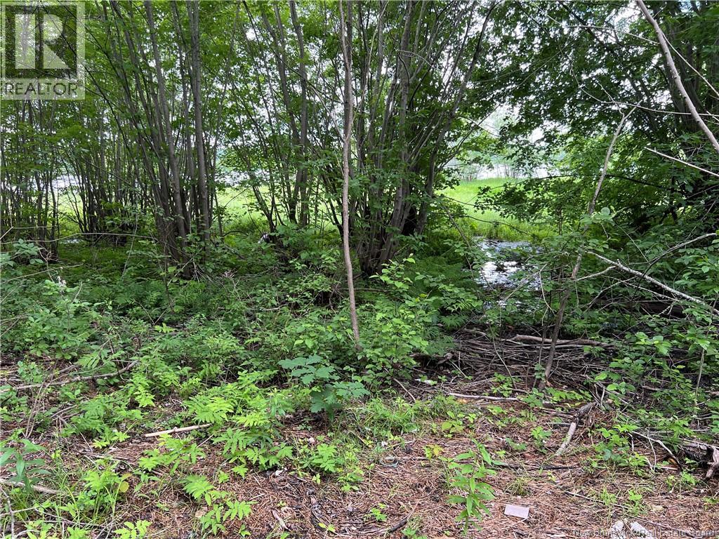 Vacant lot Lakeview Road — photo 37