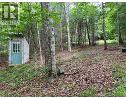 Vacant Lot Lakeview Road, Washademoak, NB E4C2L6 Photo 19