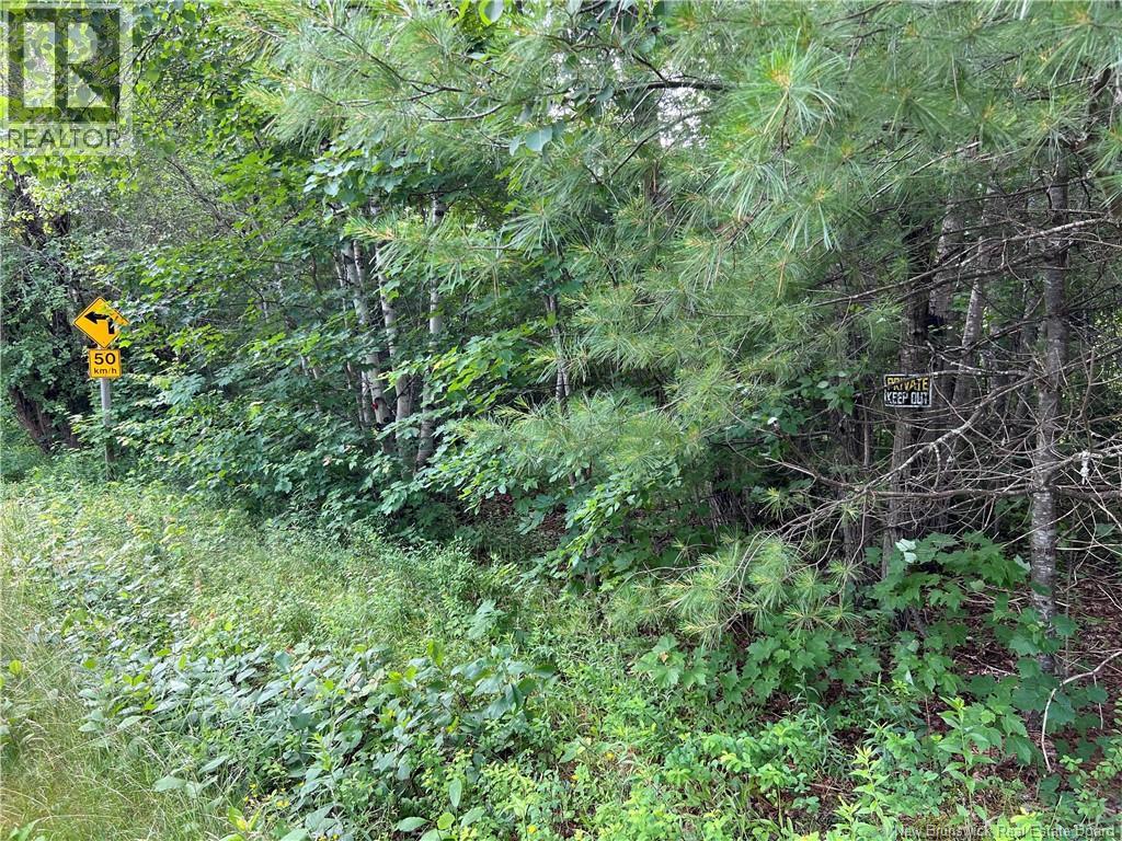 Vacant lot Lakeview Road — photo 36