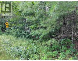 Vacant Lot Lakeview Road, Washademoak, NB E4C2L6 Photo 36