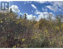 2936 Highway 3, Barrington, NS B0W1E0 Photo 10