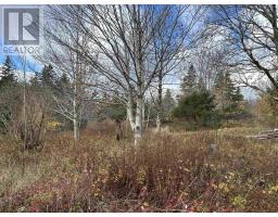 2936 Highway 3, Barrington, NS B0W1E0 Photo 8