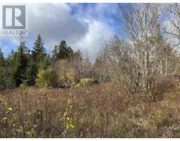 2936 Highway 3, Barrington, NS B0W1E0 Photo 16