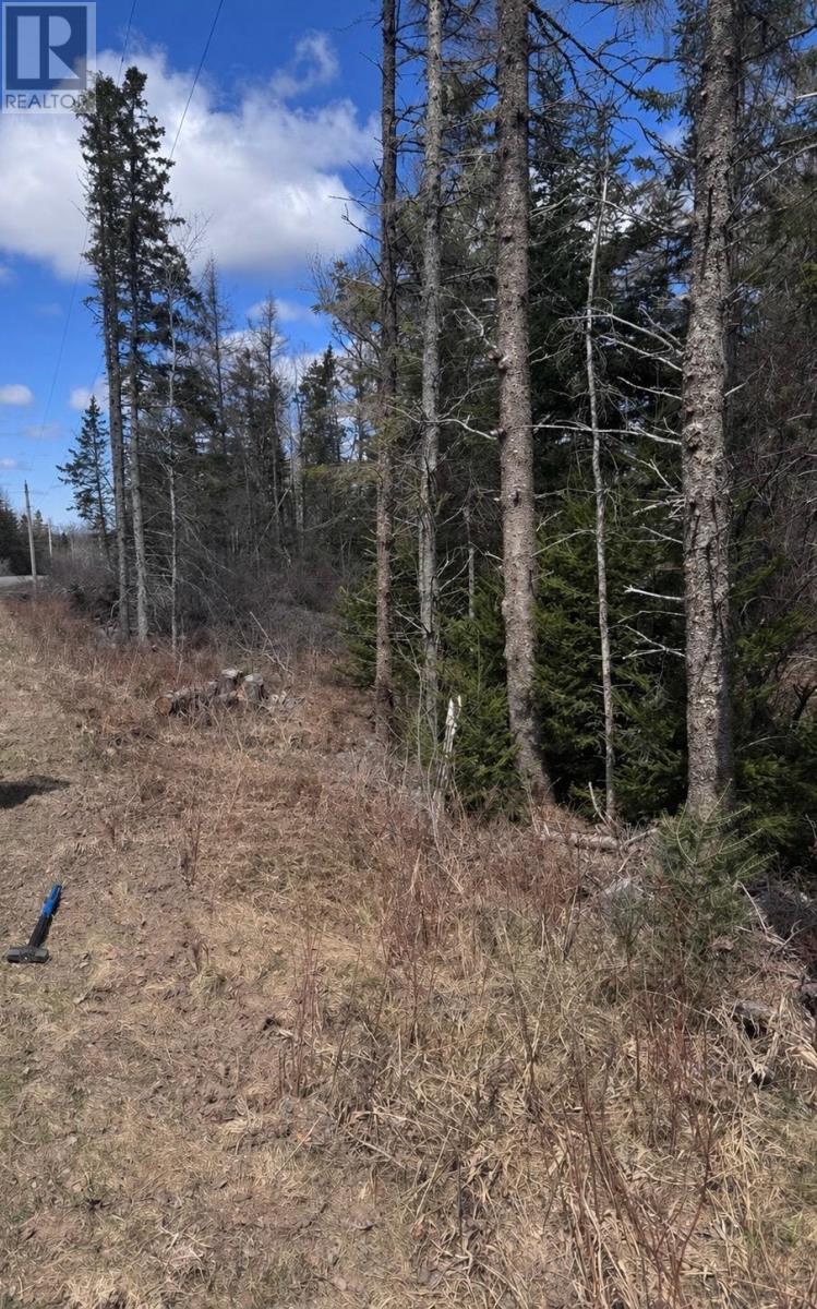 Property 2 of 2 of Lot #4 Lower Harmony Road