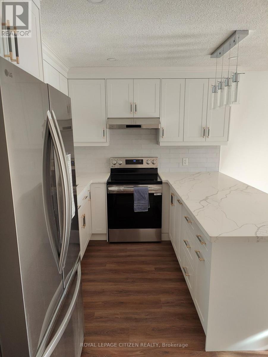 Listing photo of LOWER - 594A BIRCHMOUNT ROAD