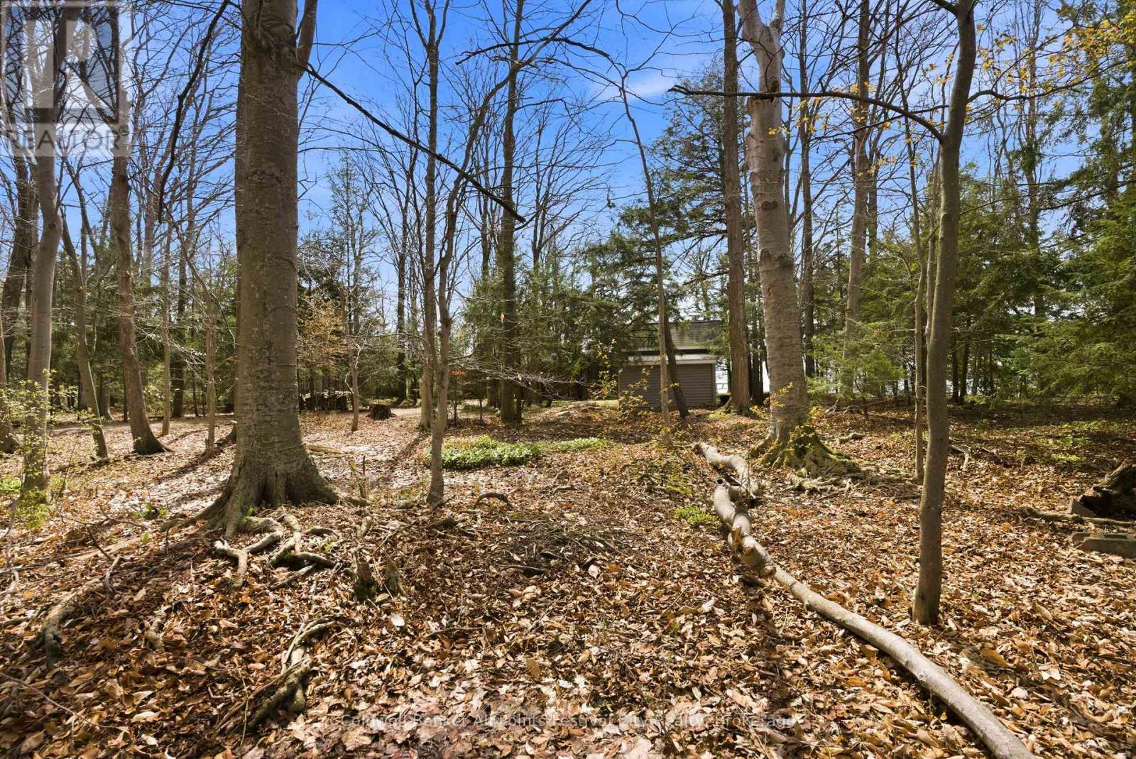 LOT 7 - 74515 WOODLAND DRIVE — photo 10