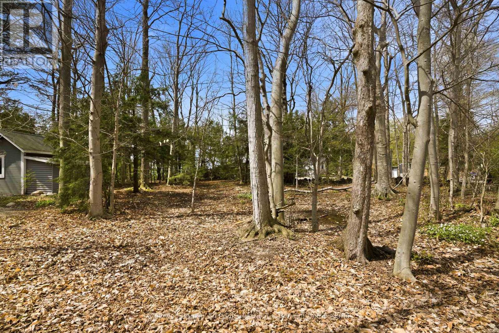 LOT 7 - 74515 WOODLAND DRIVE — photo 11