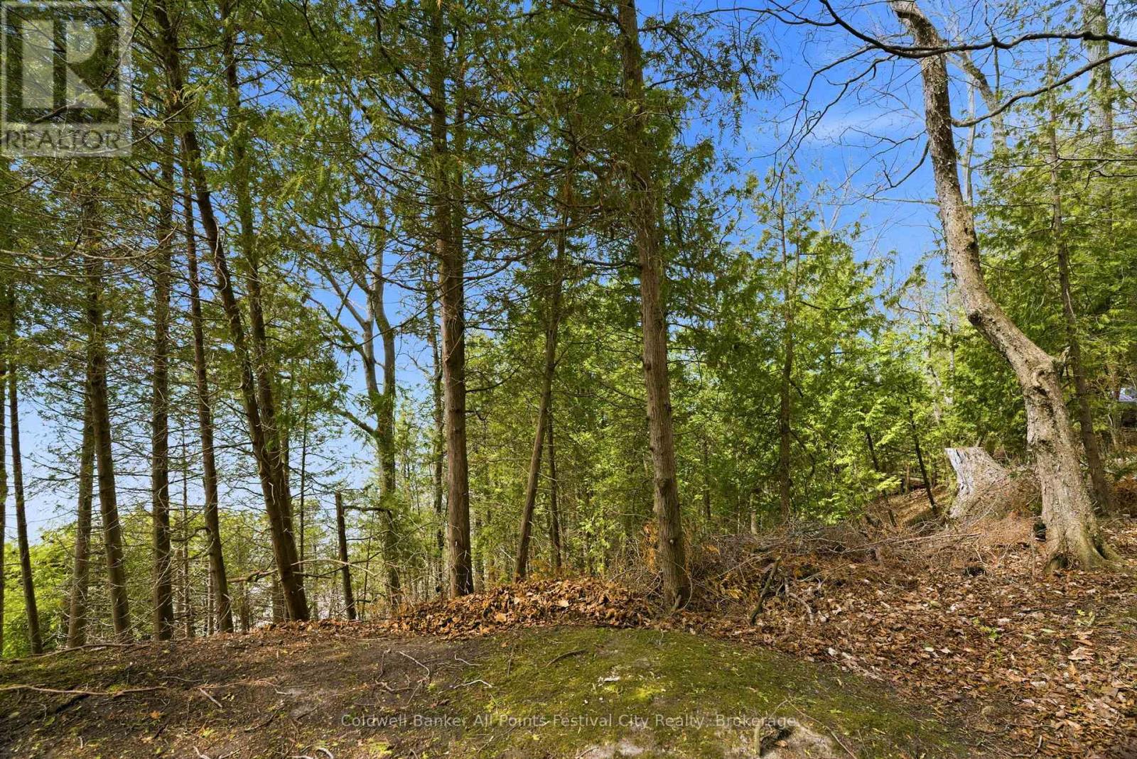 LOT 7 - 74515 WOODLAND DRIVE — photo 8