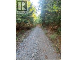 0 Mosher Hill Road, St  Martins, NB E4E5P5 Photo 7