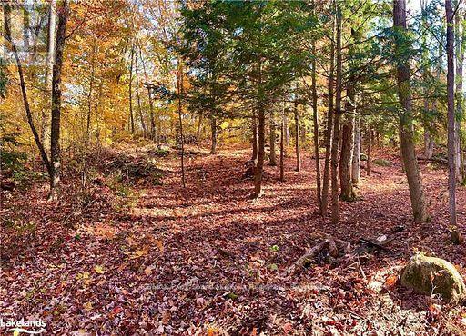 Nature trails to enjoy