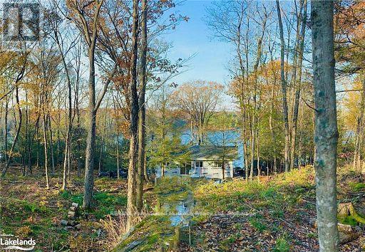 21 Acres of Privacy
