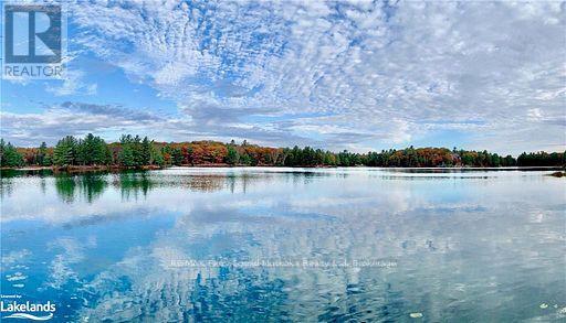 Captivating view from the cabin