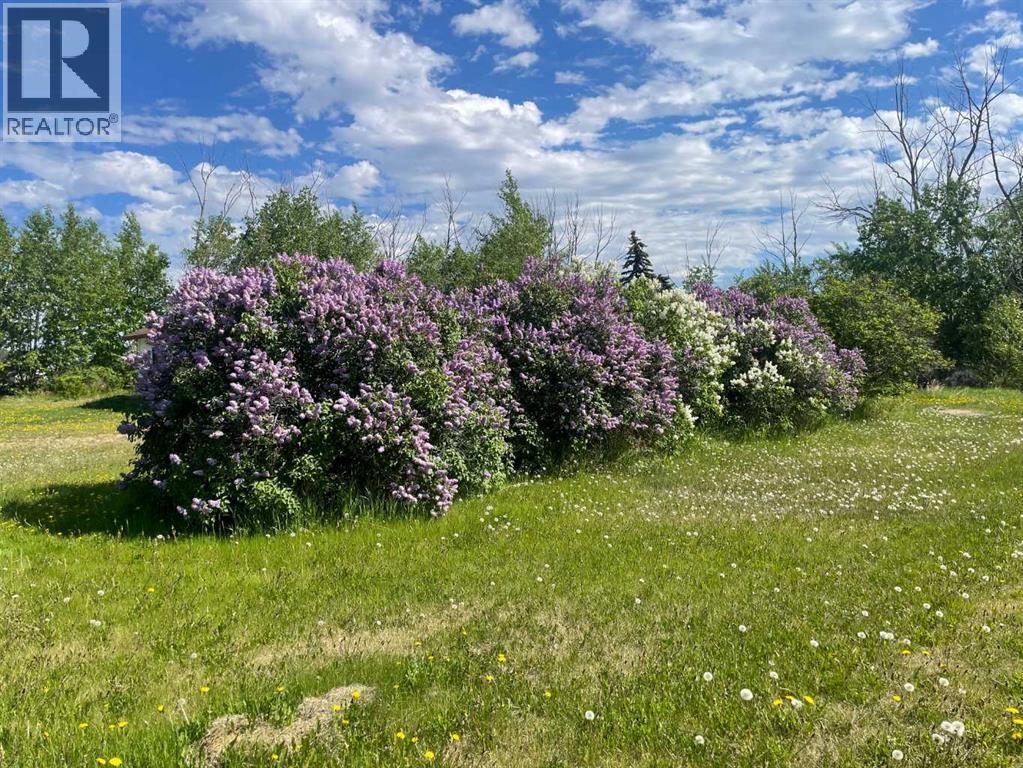 5411 50 Street - 4